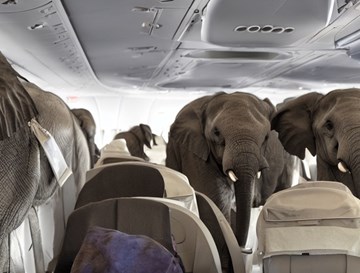 elefanter i fly_ai.jpg