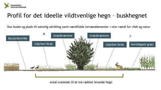 Plant for vildtet Danmarks Jægerforbund